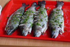 P1070712